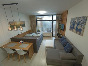 Apartmán LUMI Zadov, Stachy
